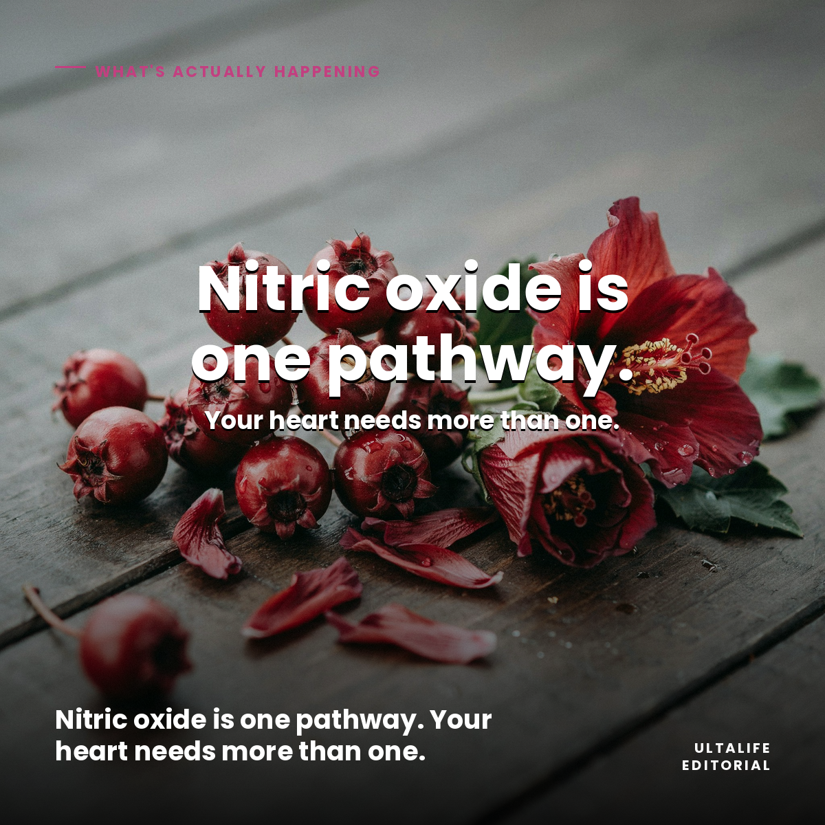 Hawthorn berries and hibiscus flowers — two of the 14 ingredients in ULTALIFE Advanced Blood Pressure Support, each addressing a different cardiovascular pathway.