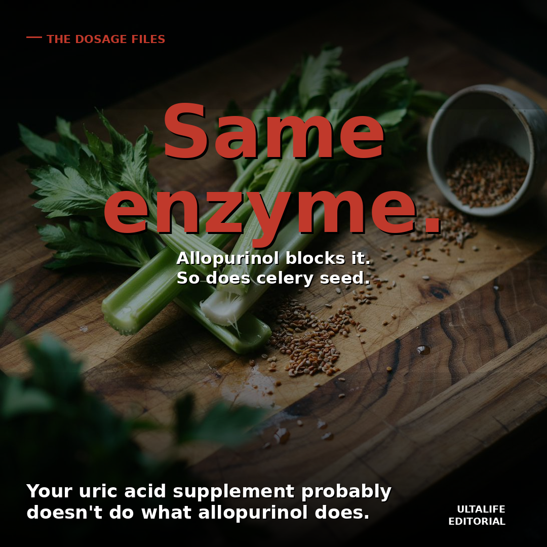 Your Uric Acid Supplement Probably Doesn't Do What Allopurinol Does. Ours Does.