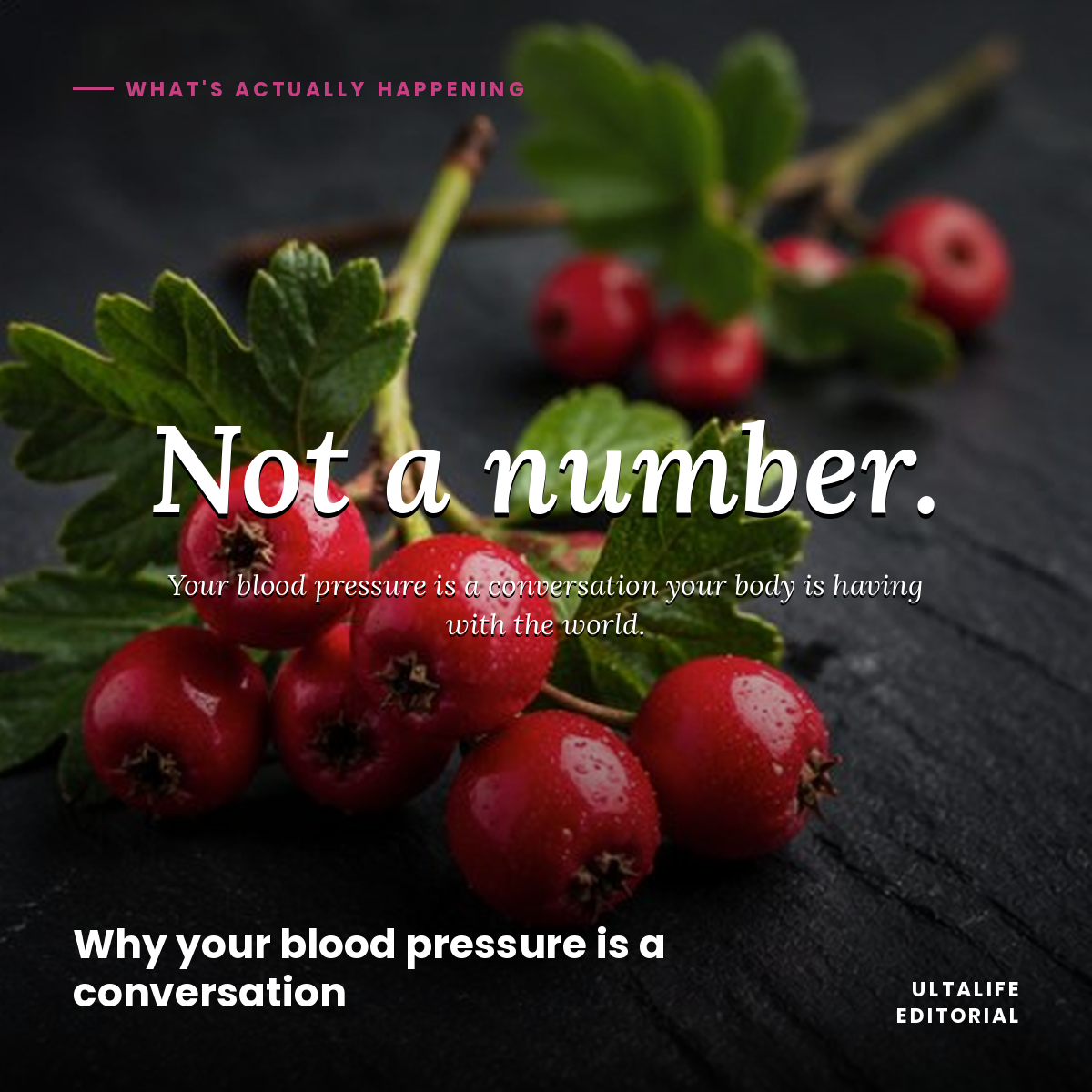 Why your blood pressure is a conversation, not a number