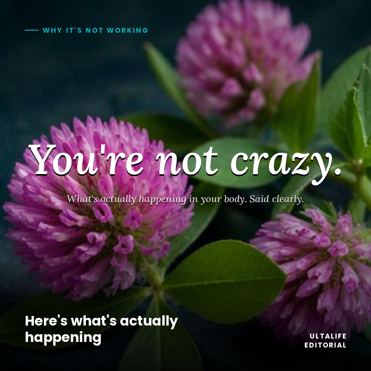 You're not crazy. Here's what's actually happening in your body.