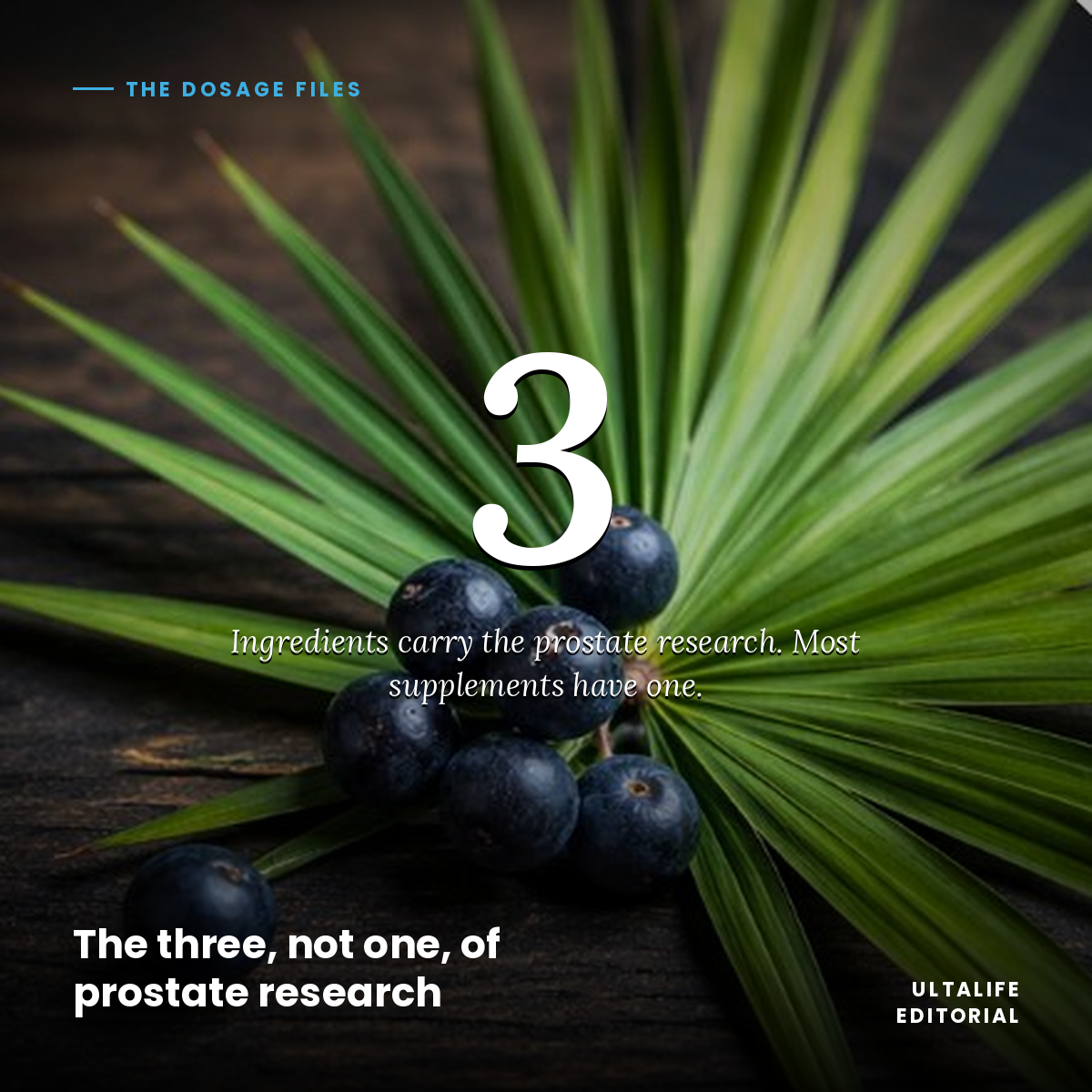 The Three Ingredients in Prostate Research Most Supplements Only Have One Of