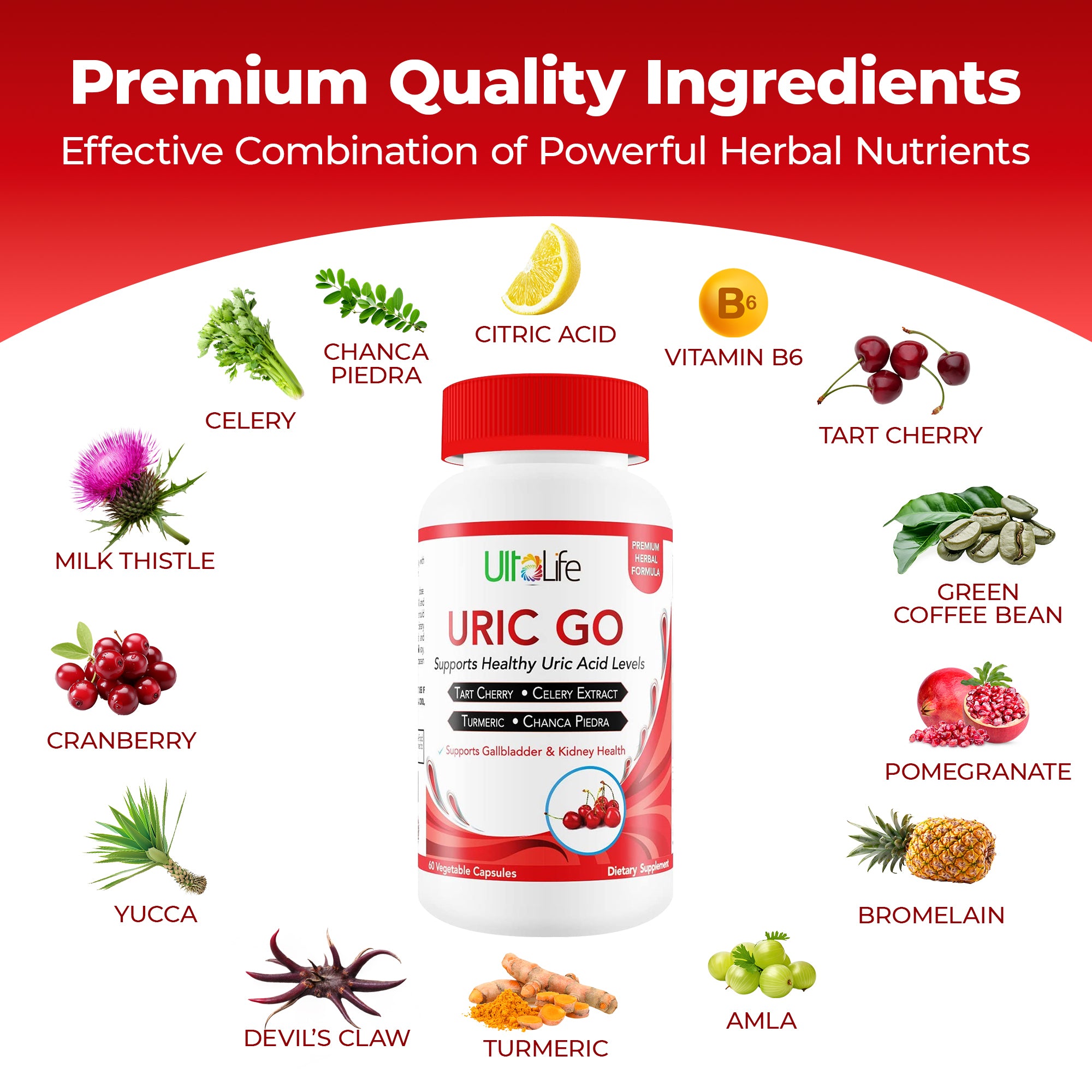 URIC GO — Uric Acid & Joint Support